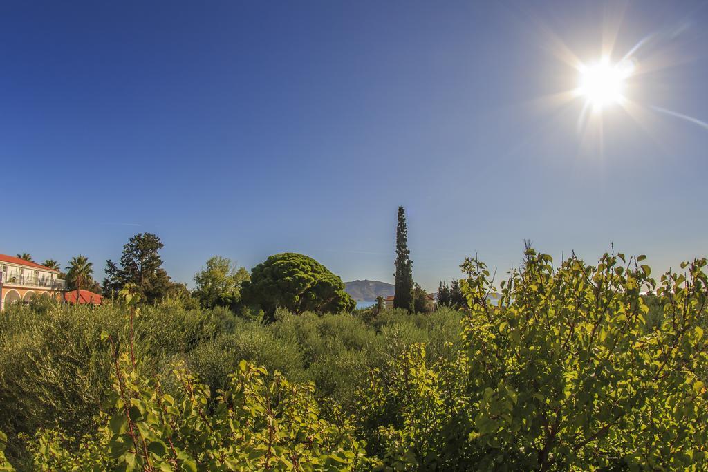 Olive Grove Apts Lithakia  Bilik gambar