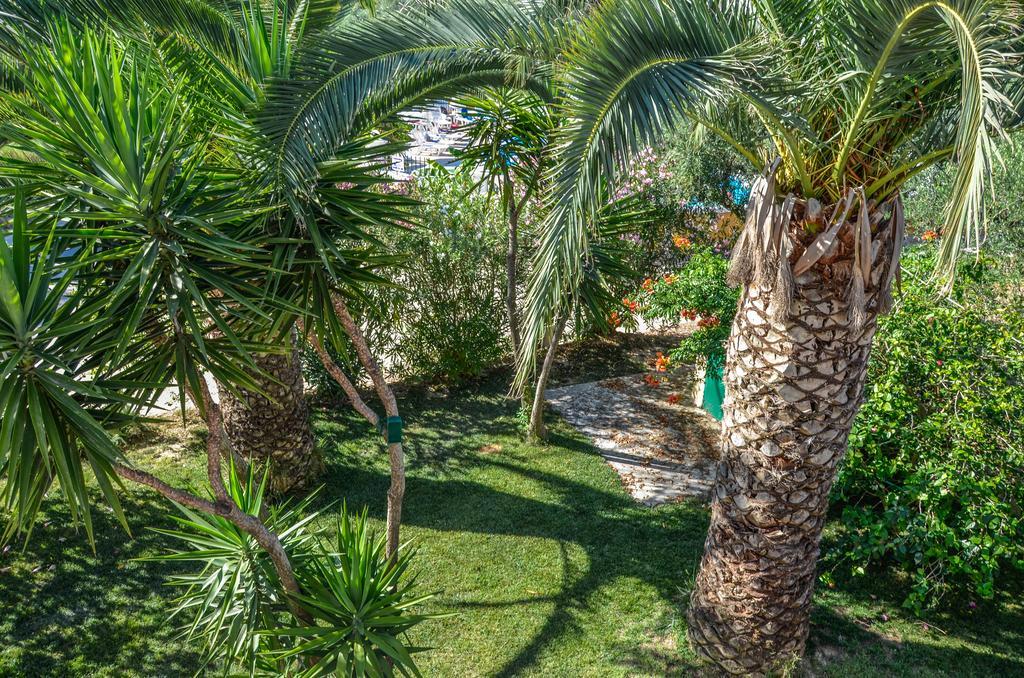 Olive Grove Apts Lithakia  Luaran gambar