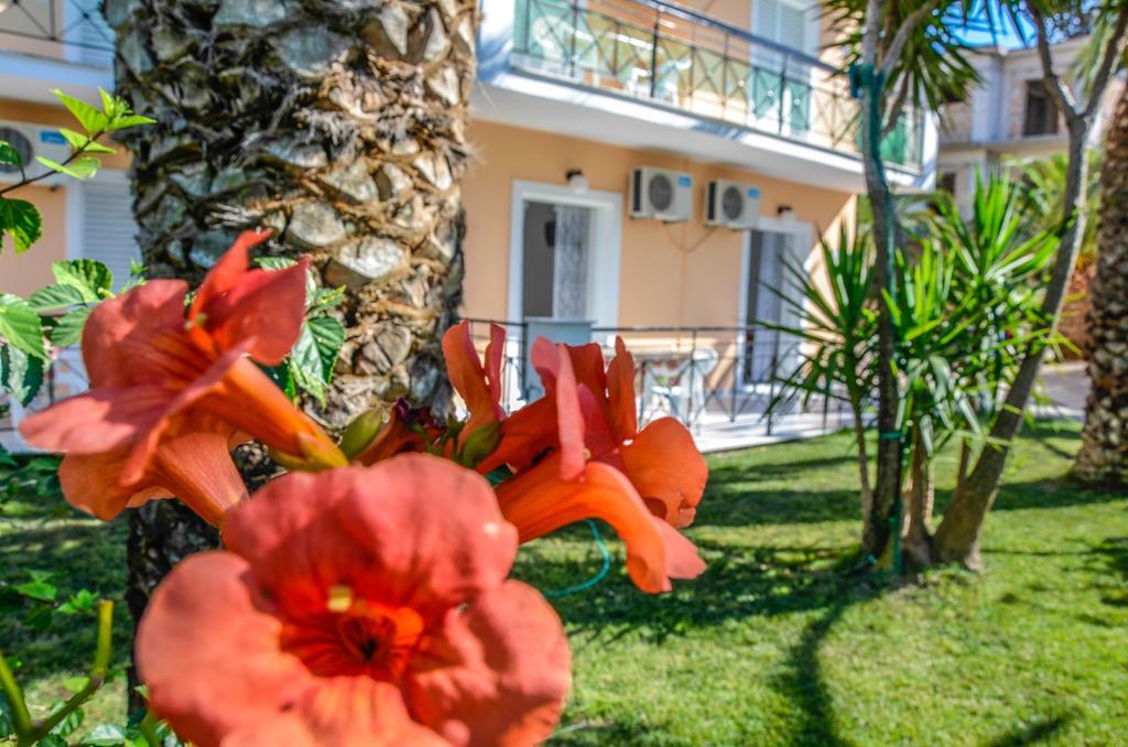 Olive Grove Apts Lithakia  Luaran gambar